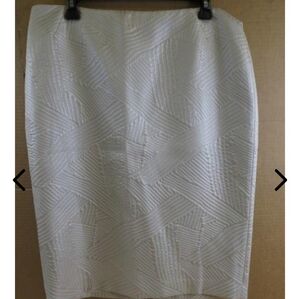 Lafayette New york skirt women's size 12.